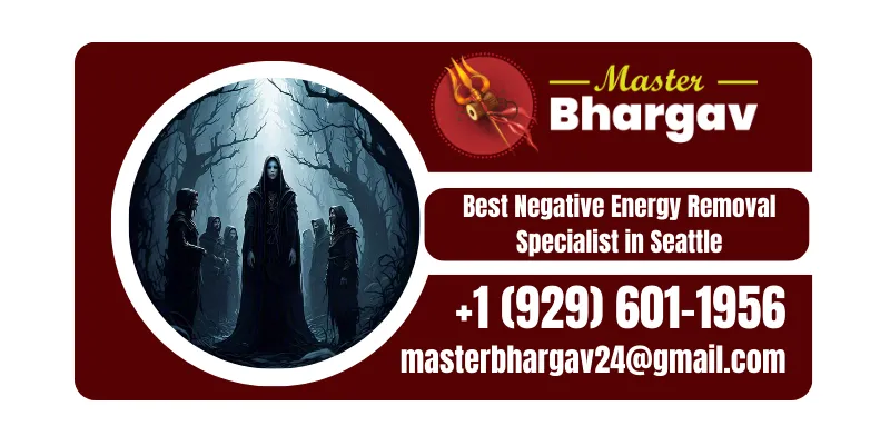 No1 Negative Energy Removal in Seattle